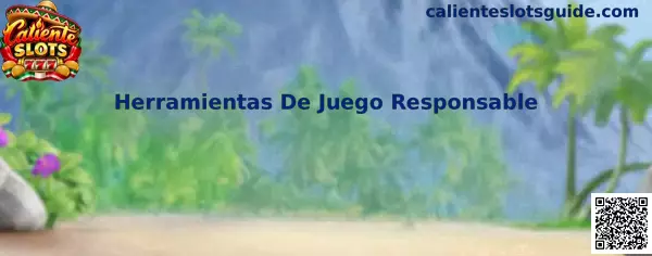 Herramientas De Juego Responsable