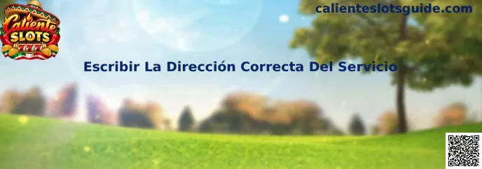 Guía visual para escribir la dirección correcta del servicio y verificar el dominio antes de iniciar sesión
